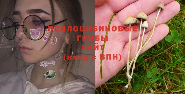 а пвп мука Арсеньев