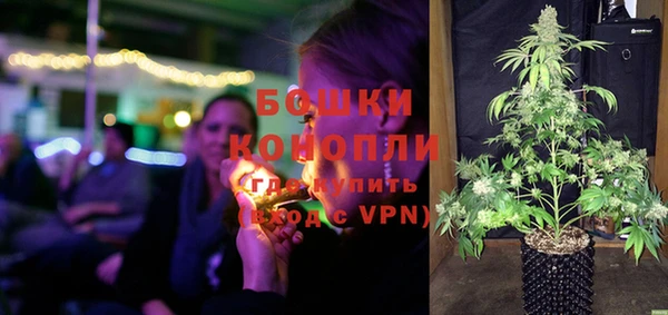 твердый Аркадак