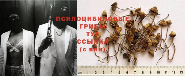 дмт Алексин