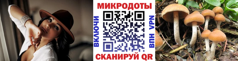 Псилоцибиновые грибы ЛСД  где продают наркотики  Абинск 
